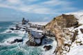 Coastline with basalts cliffs covered with snow.