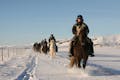 Horseback riding in Iceland during winter in snow